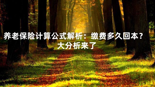 养老保险计算公式解析：缴费多久回本？大分析来了