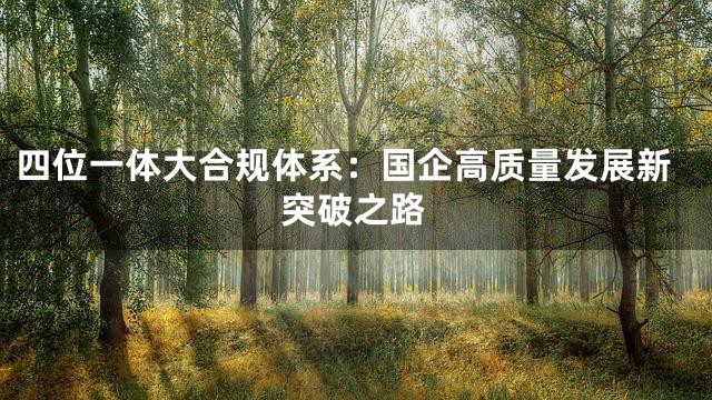 四位一体大合规体系：国企高质量发展新突破之路