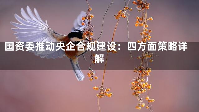 国资委推动央企合规建设：四方面策略详解