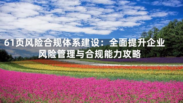 61页风险合规体系建设：全面提升企业风险管理与合规能力攻略