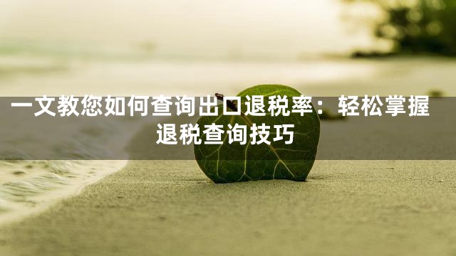 一文教您如何查询出口退税率：轻松掌握退税查询技巧