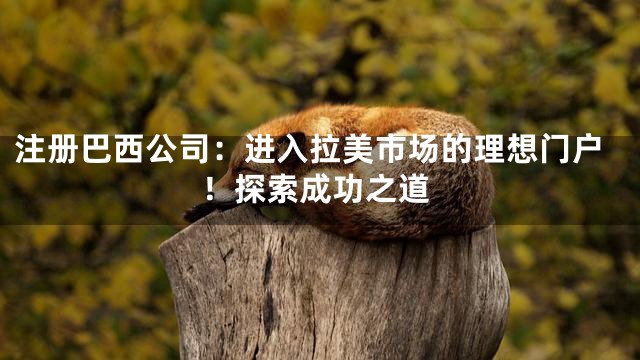 注册巴西公司：进入拉美市场的理想门户！探索成功之道