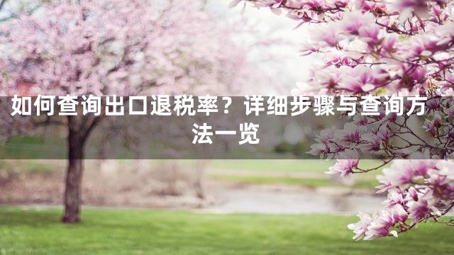 如何查询出口退税率？详细步骤与查询方法一览