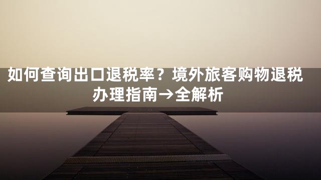 如何查询出口退税率？境外旅客购物退税办理指南→全解析
