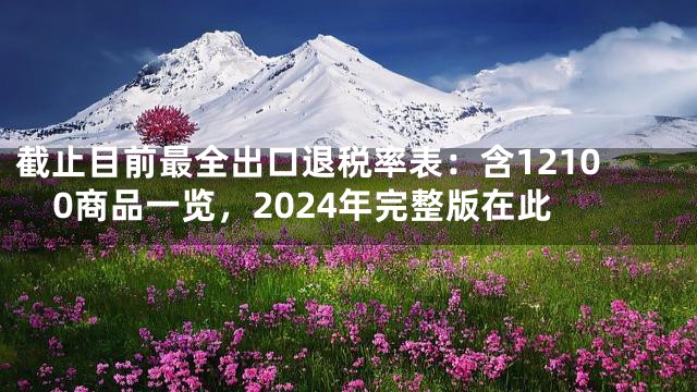 截止目前最全出口退税率表：含12100商品一览，2024年完整版在此