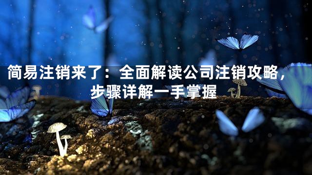 简易注销来了：全面解读公司注销攻略，步骤详解一手掌握