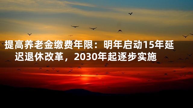 提高养老金缴费年限：明年启动15年延迟退休改革，2030年起逐步实施