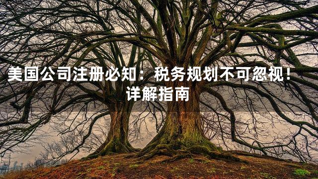美国公司注册必知：税务规划不可忽视！详解指南
