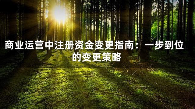 商业运营中注册资金变更指南：一步到位的变更策略