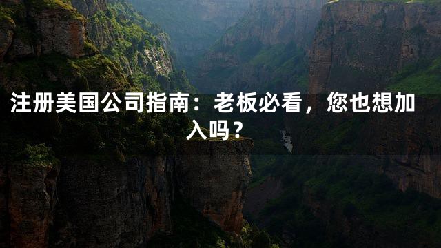 注册美国公司指南：老板必看，您也想加入吗？