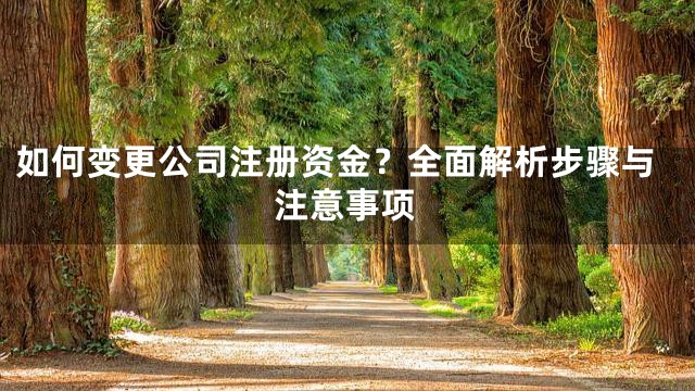如何变更公司注册资金？全面解析步骤与注意事项