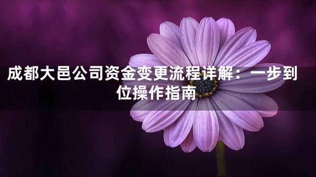 成都大邑公司资金变更流程详解：一步到位操作指南
