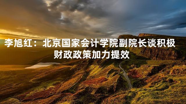李旭红：北京国家会计学院副院长谈积极财政政策加力提效