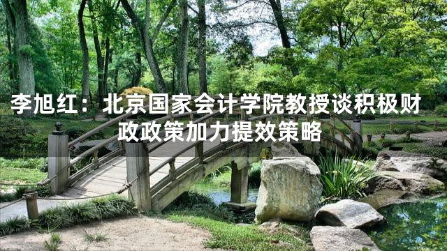 李旭红：北京国家会计学院教授谈积极财政政策加力提效策略
