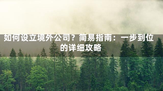 如何设立境外公司？简易指南：一步到位的详细攻略