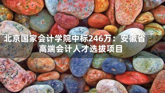 北京国家会计学院中标246万：安徽省高端会计人才选拔项目