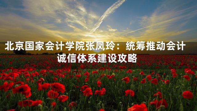 北京国家会计学院张凤玲：统筹推动会计诚信体系建设攻略