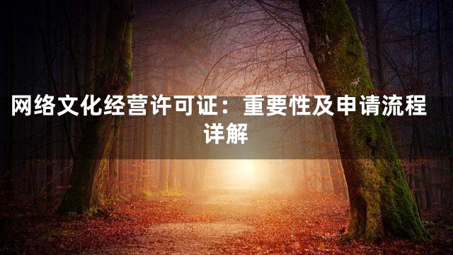网络文化经营许可证：重要性及申请流程详解