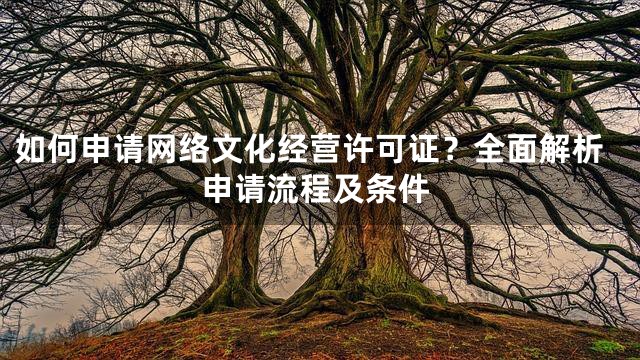 如何申请网络文化经营许可证？全面解析申请流程及条件