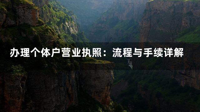办理个体户营业执照：流程与手续详解