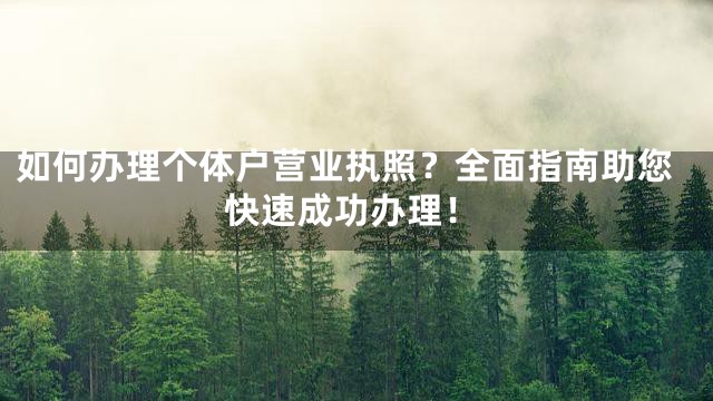 如何办理个体户营业执照？全面指南助您快速成功办理！