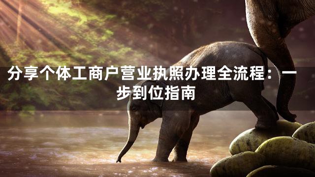分享个体工商户营业执照办理全流程：一步到位指南