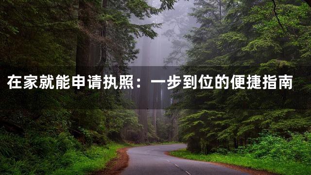 在家就能申请执照：一步到位的便捷指南