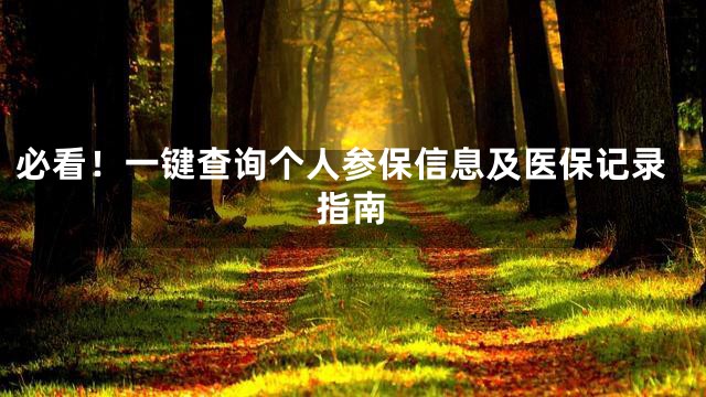 必看！一键查询个人参保信息及医保记录指南