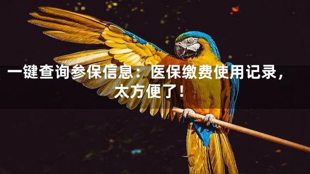 一键查询参保信息：医保缴费使用记录，太方便了！