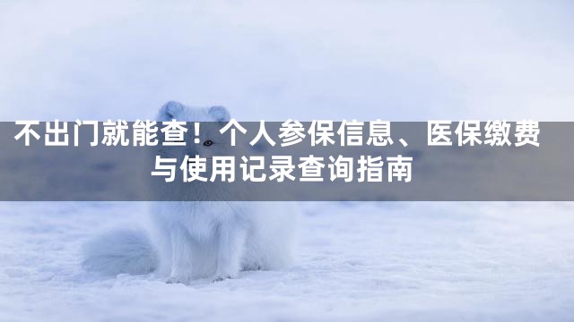 不出门就能查！个人参保信息、医保缴费与使用记录查询指南