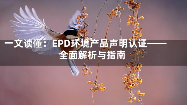 一文读懂：EPD环境产品声明认证——全面解析与指南