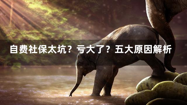 自费社保太坑？亏大了？五大原因解析