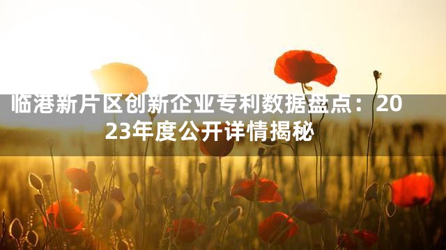 临港新片区创新企业专利数据盘点：2023年度公开详情揭秘