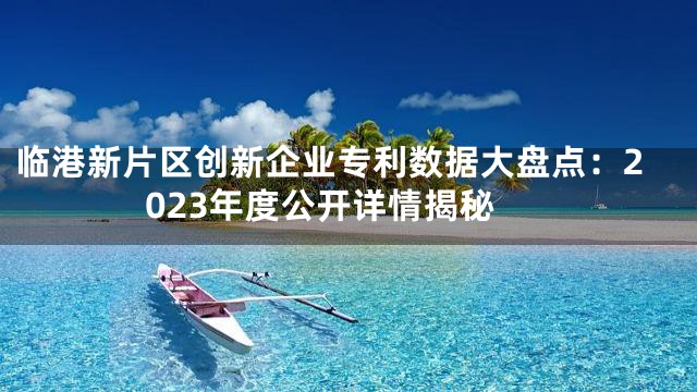 临港新片区创新企业专利数据大盘点：2023年度公开详情揭秘