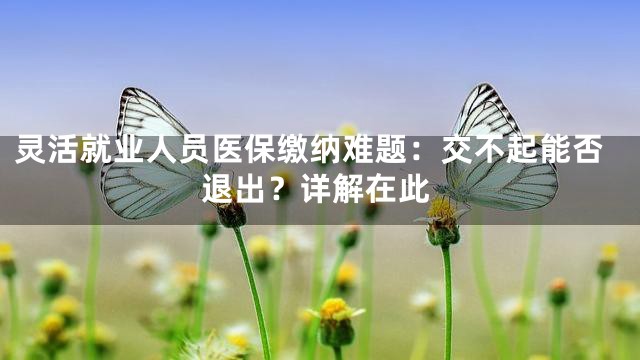 灵活就业人员医保缴纳难题：交不起能否退出？详解在此