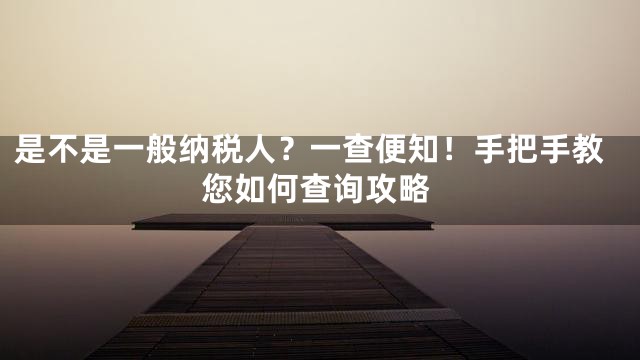 是不是一般纳税人？一查便知！手把手教您如何查询攻略