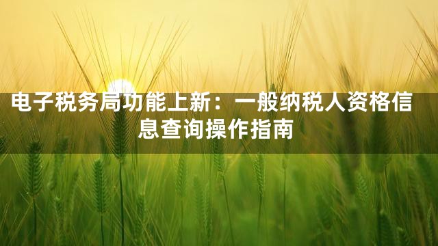 电子税务局功能上新：一般纳税人资格信息查询操作指南