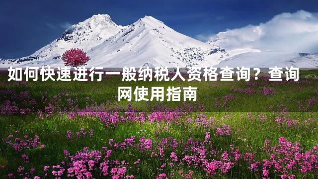 如何快速进行一般纳税人资格查询？查询网使用指南