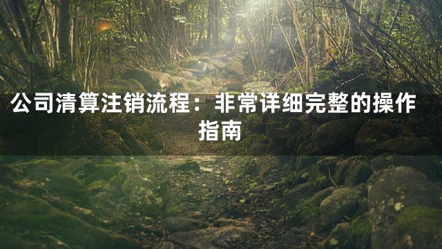 公司清算注销流程：非常详细完整的操作指南