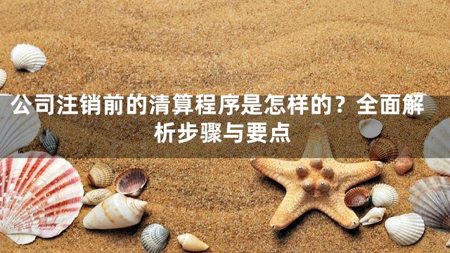 公司注销前的清算程序是怎样的？全面解析步骤与要点