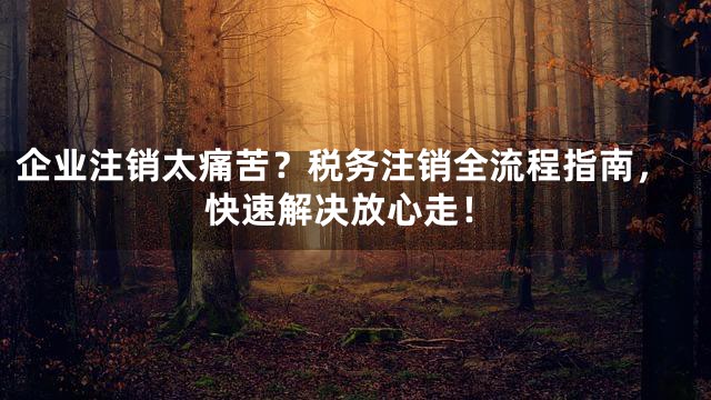 企业注销太痛苦？税务注销全流程指南，快速解决放心走！