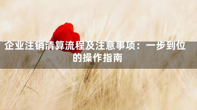 企业注销清算流程及注意事项：一步到位的操作指南