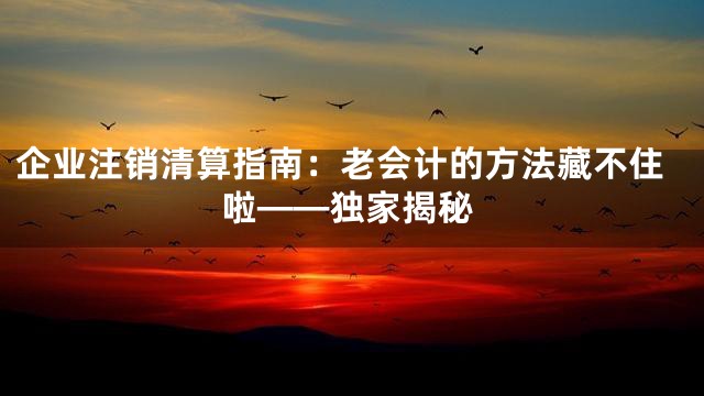 企业注销清算指南：老会计的方法藏不住啦——独家揭秘