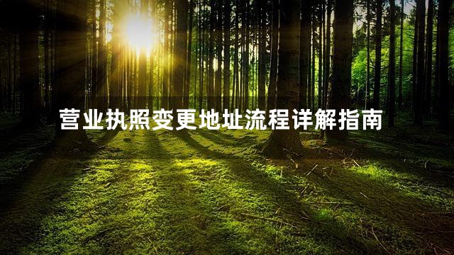 营业执照变更地址流程详解指南