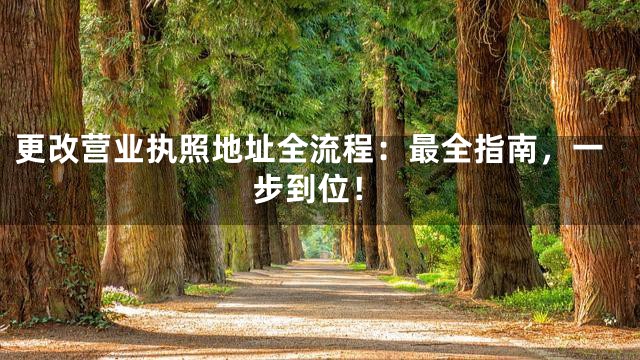 更改营业执照地址全流程：最全指南，一步到位！