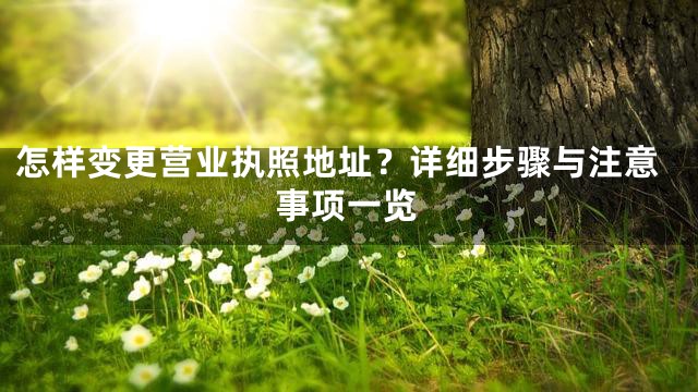 怎样变更营业执照地址？详细步骤与注意事项一览