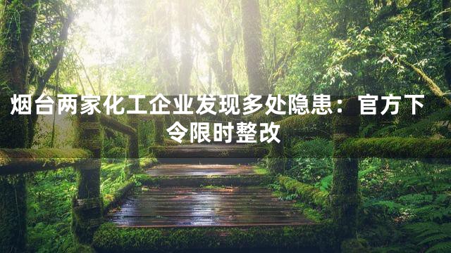 烟台两家化工企业发现多处隐患：官方下令限时整改