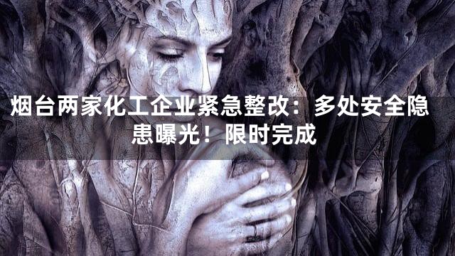 烟台两家化工企业紧急整改：多处安全隐患曝光！限时完成