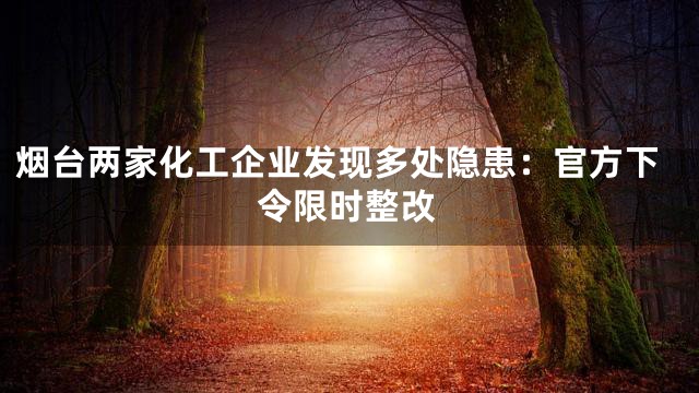 烟台两家化工企业发现多处隐患：官方下令限时整改