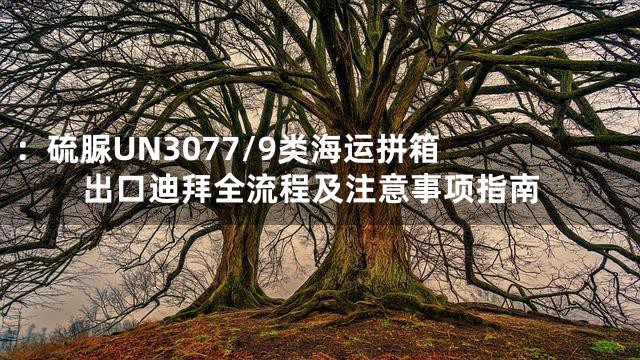 ：

硫脲UN3077/9类海运拼箱出口迪拜全流程及注意事项指南